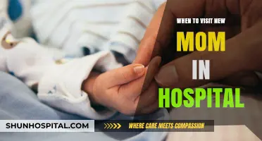 Best Timing for Visiting a New Mom in the Hospital