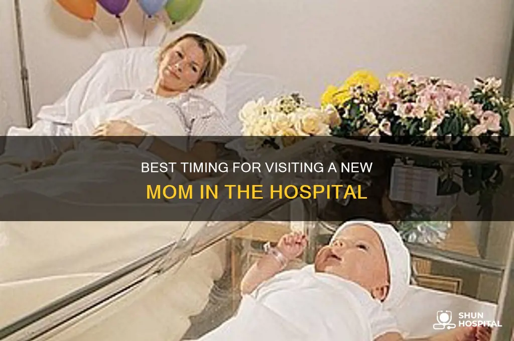 when to visit new mom in hospital