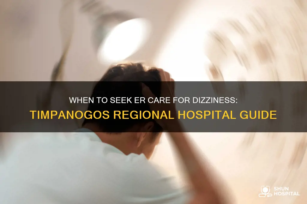 when to visit the er for dizziness timpanogos regional hospital