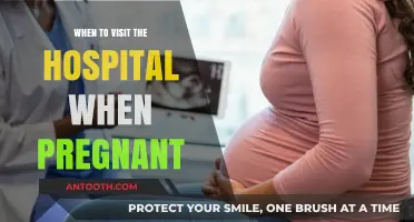 Pregnancy Hospital Visits: When to Seek Medical Care and Attention