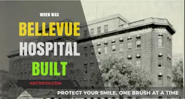 Bellevue Hospital's Historic Origins: A Journey Through Time