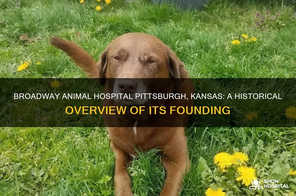 when was broadway animal hospital in pitsburgh kansa established