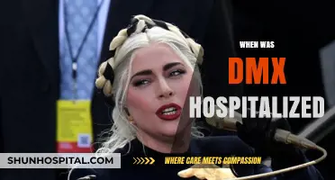 DMX Hospitalized: Timeline of the Rapper's Health Crisis and Recovery