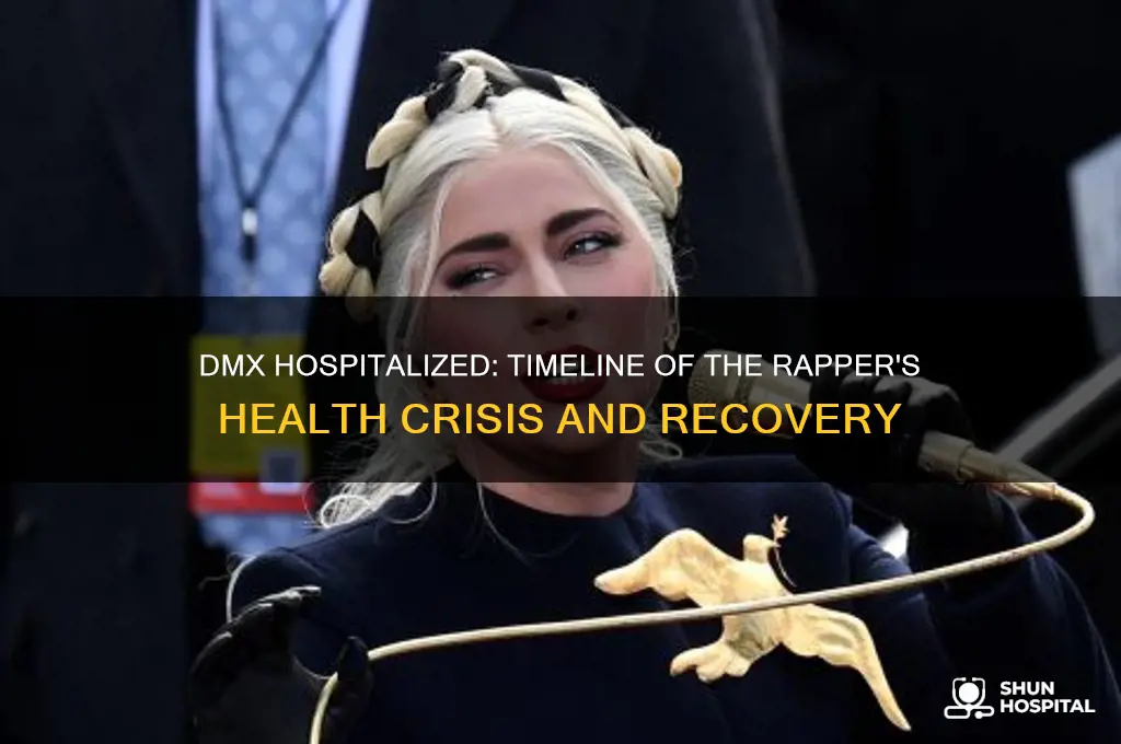 when was dmx hospitalized