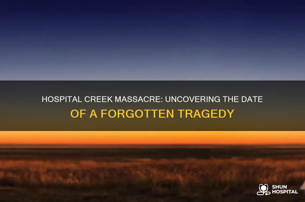 when was hospital creek massacre