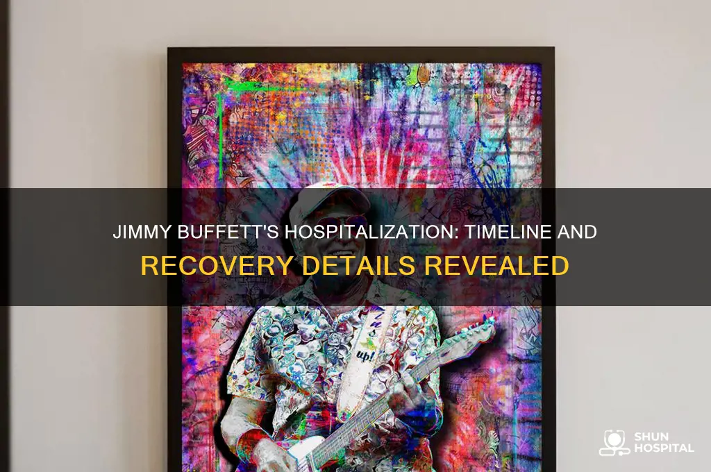 when was jimmy buffett in the hospital