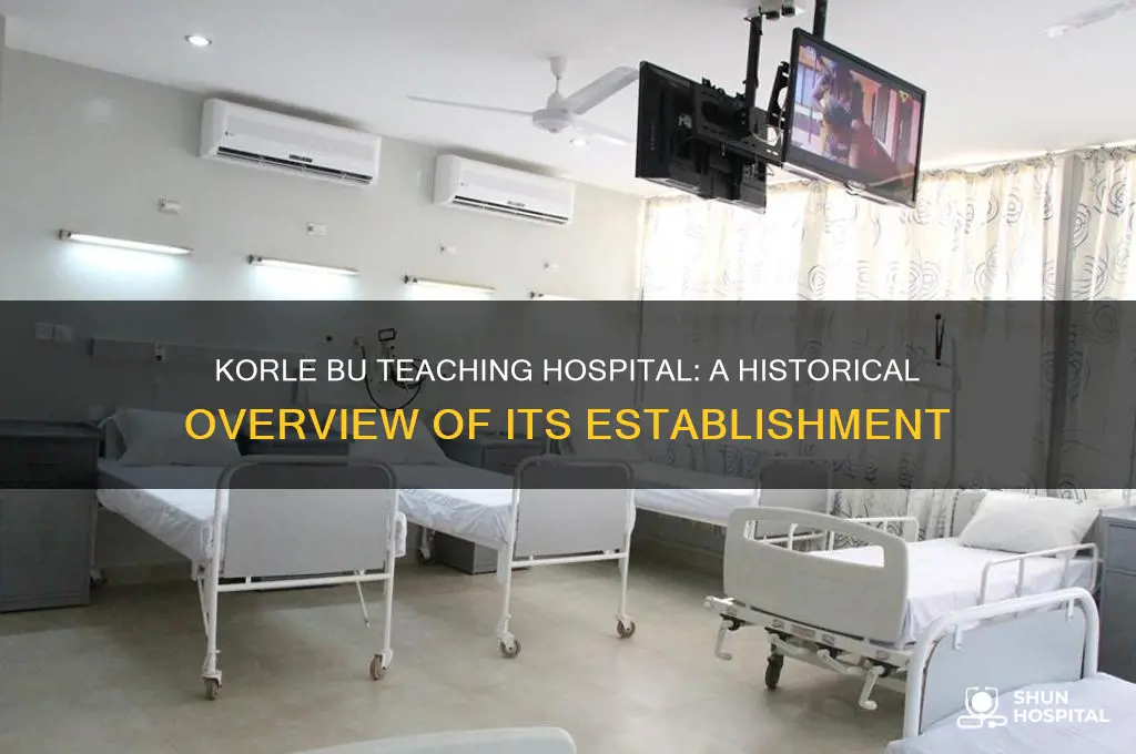 when was korle bu teaching hospital established