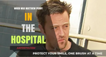 Matthew Perry's Hospitalization: Timeline and Recovery Journey Explained