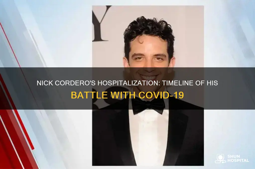 when was nick cordero hospitalized