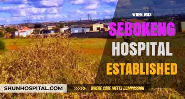 Sebokeng Hospital's Origins: A Look at Its Establishment Date