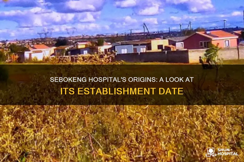 when was sebokeng hospital established