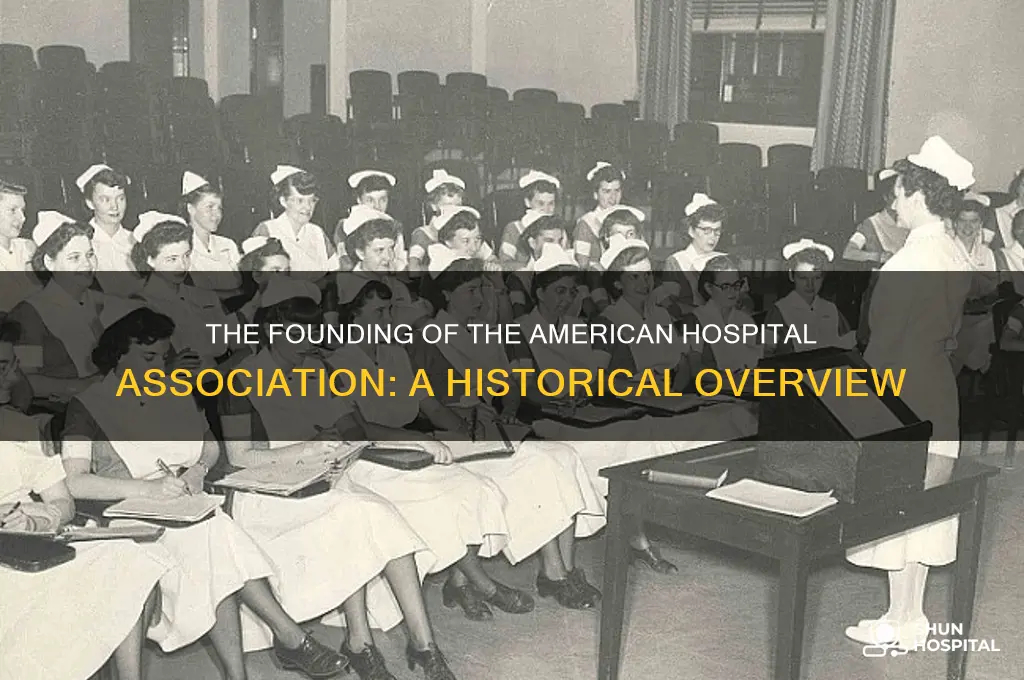 when was the american hospital association founded