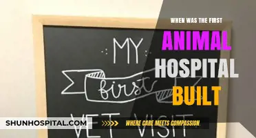The Origins of Animal Care: First Animal Hospital's Historical Beginnings