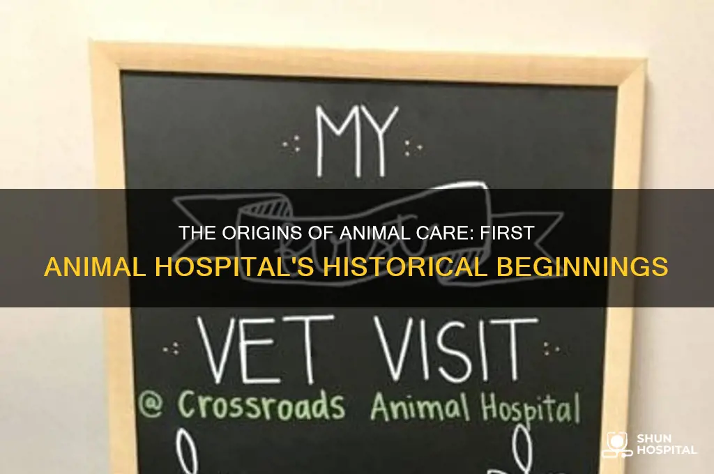 when was the first animal hospital built