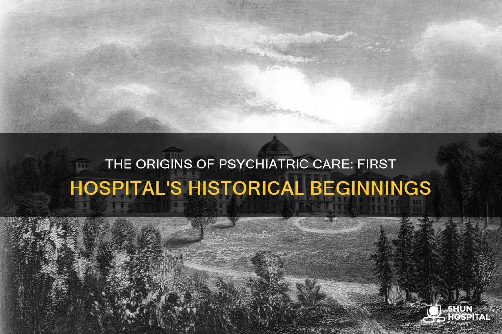 when was the first psychiatric hospital built