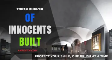 The Historic Construction of Florence's Hospital of Innocents