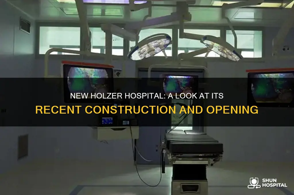 when was the new holzer hospital bilit