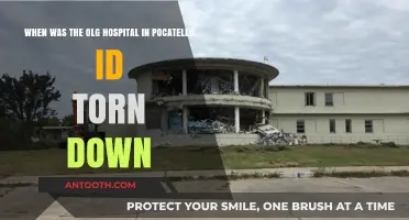 The Demolition of Pocatello's OLG Hospital: A Historical Overview