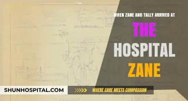 Zane and Tally's Hospital Arrival: A Turning Point Unfolds