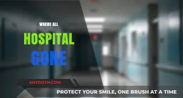 Where Have All the Hospitals Gone? Exploring the Decline in Healthcare Facilities