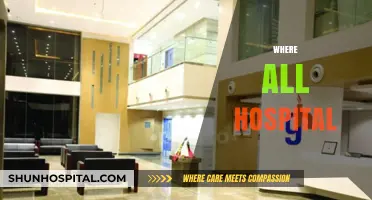 Exploring the Locations and Accessibility of Hospitals Worldwide