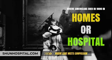 Home or Hospital: Where Americans Passed Away in 1900