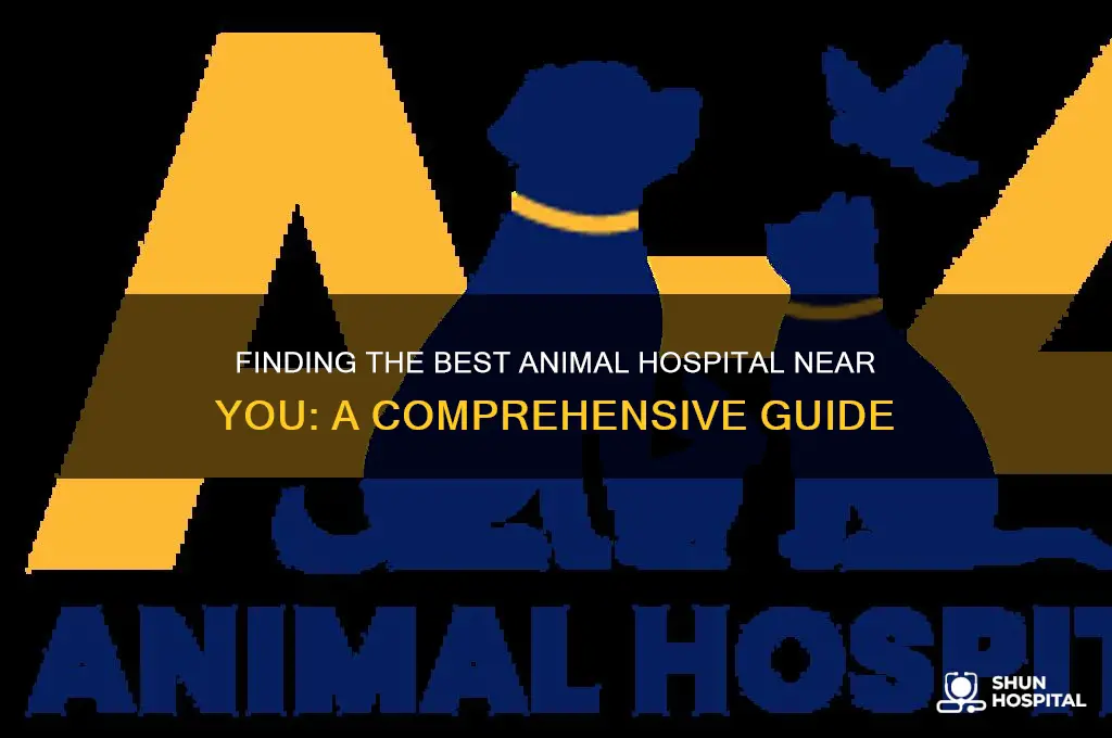 where animal hospital