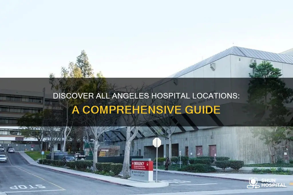 where are all the angeles hospital locations