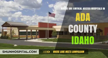 Critical Access Hospitals in Ada County, Idaho: Locations and Services