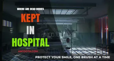 Hospital Morgues: Where Deceased Patients Are Kept Before Release