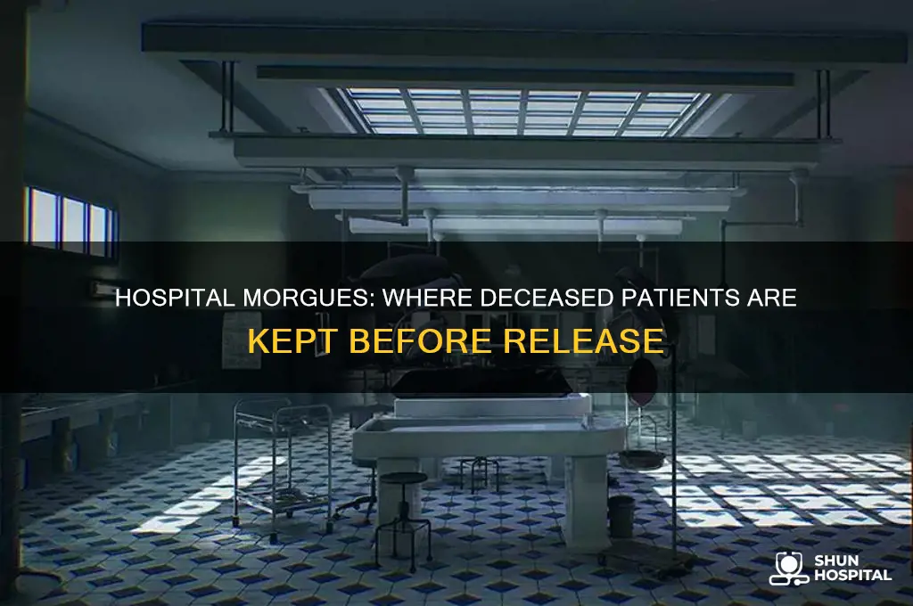 where are dead bodies kept in hospital