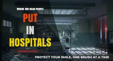 Hospital Morgues: Where Deceased Patients Are Temporarily Stored