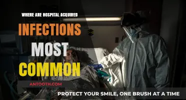 Hospital-Acquired Infections: Identifying High-Risk Areas in Healthcare Facilities