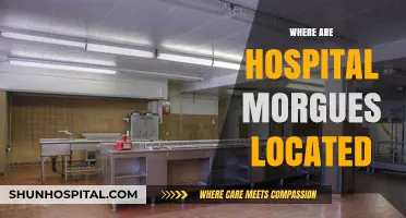Hospital Morgue Locations: Understanding Where They Are Situated