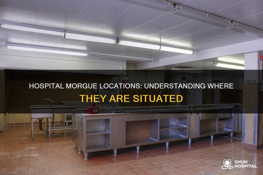 where are hospital morgues located