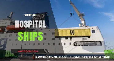 Global Deployment: Tracking Hospital Ships' Locations and Missions Today