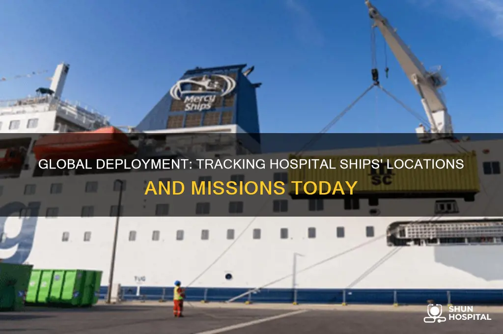 where are hospital ships