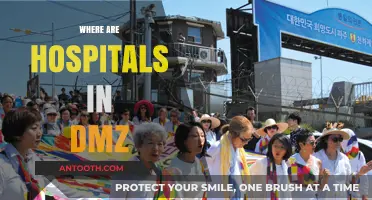 Hospitals in the DMZ: Locations and Humanitarian Roles Explained