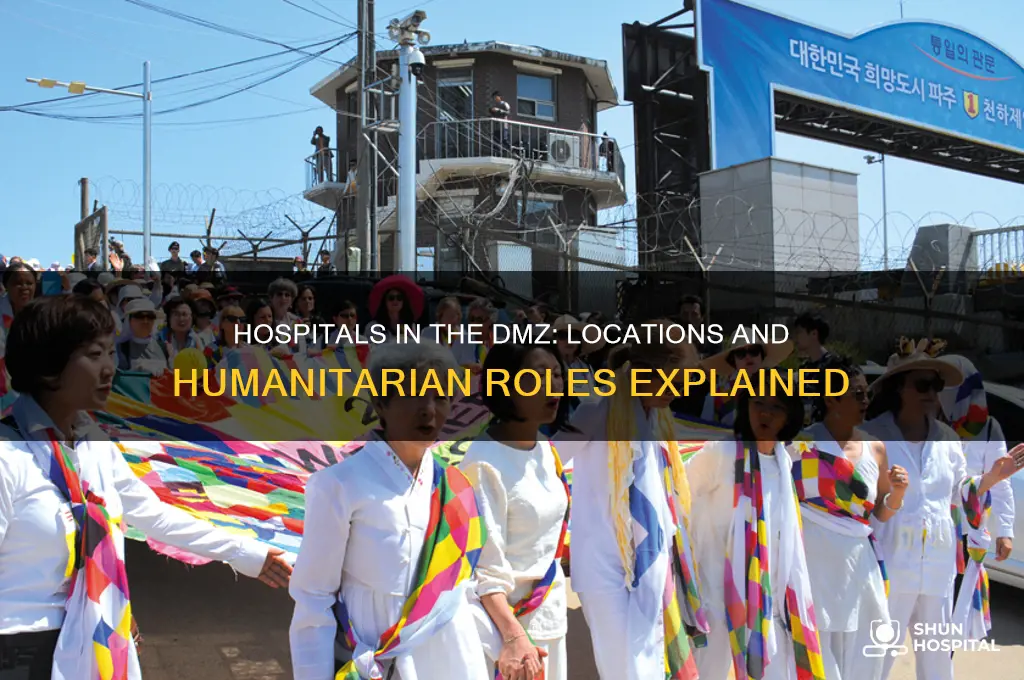 where are hospitals in dmz