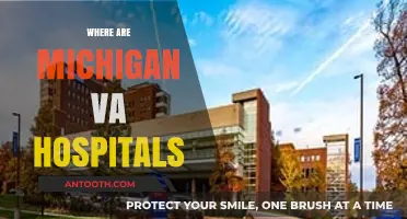 Locating Michigan's VA Hospitals: A Comprehensive Guide for Veterans