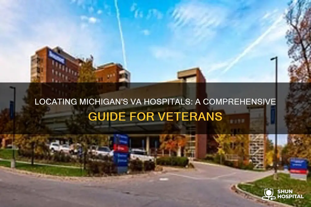 where are michigan va hospitals
