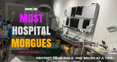 Hospital Morgue Locations: Where Are Most Facilities Situated?
