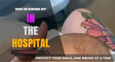 Newborn Hospital Care: Where Infants Stay After Birth Explained