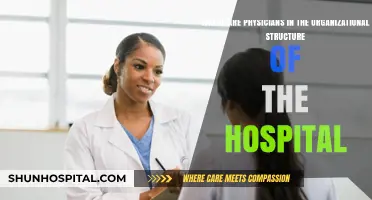 Physicians' Role and Position in Hospital Organizational Hierarchy Explained