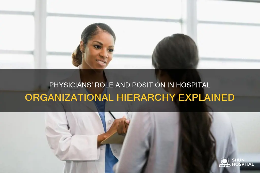 where are physicians in the organizational structure of the hospital