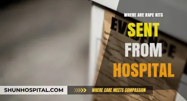 Where Do Rape Kits Go After Hospital Collection? A Detailed Journey
