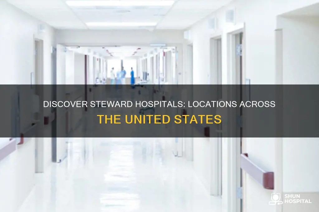 where are steward hospitals located