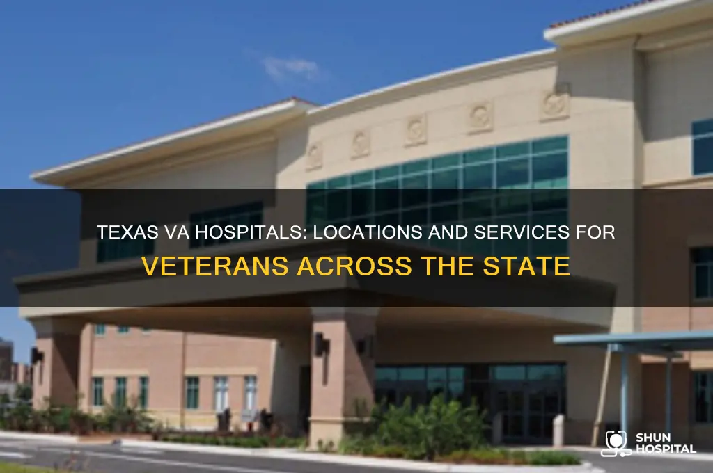 where are texas va hospitals