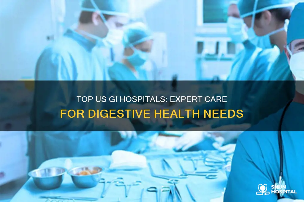 where are the best gi hospitals in the us