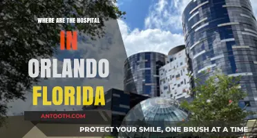 Orlando's Top Hospitals: Locations and Essential Healthcare Services Guide